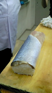 NEC_0436.jpg