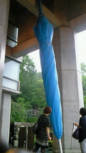 NEC_0747.jpg