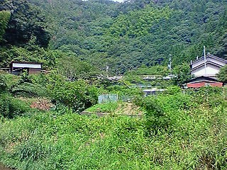 200708271316000.jpg