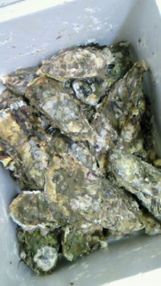 200803211929000.jpg