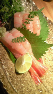 200809050000000.jpg