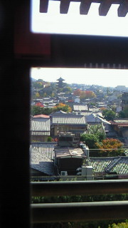 200811231416000.jpg