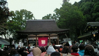 NEC_0069.jpg