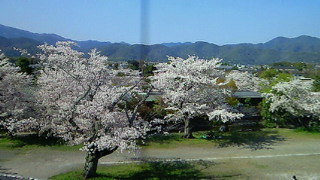 NEC_0083.jpg